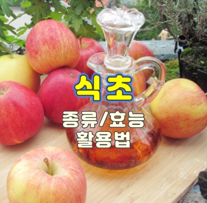 식초-종류-효능