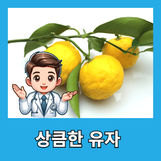 상큼한 유자