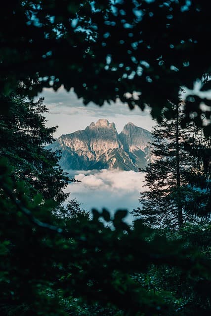 "식품의 신선도를 지키는 탈산소제의 과학적 원리"