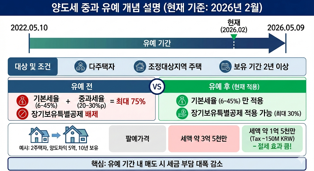 양도세 중과 유예 개념 설명 인포그래픽