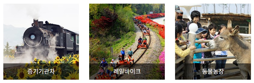 곡성장미축제 주차장