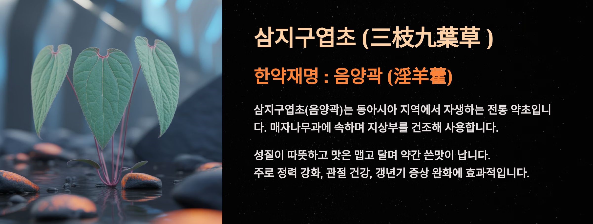 삼지구엽초(음양곽) 이란?