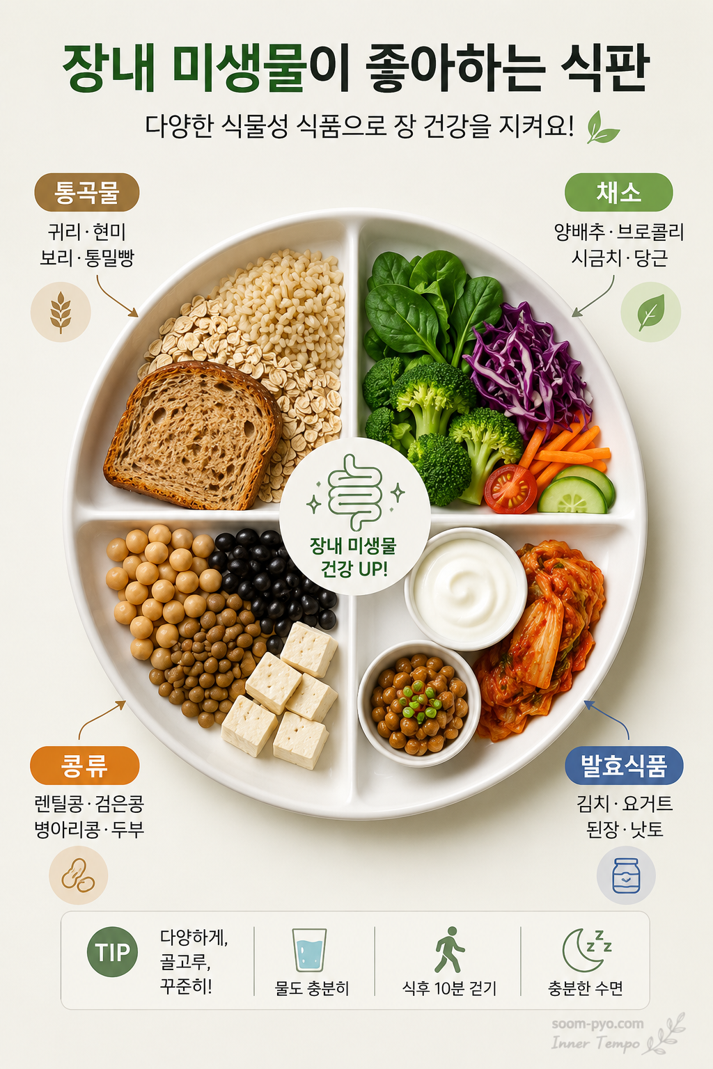장 건강을 위한 건강한 식판
