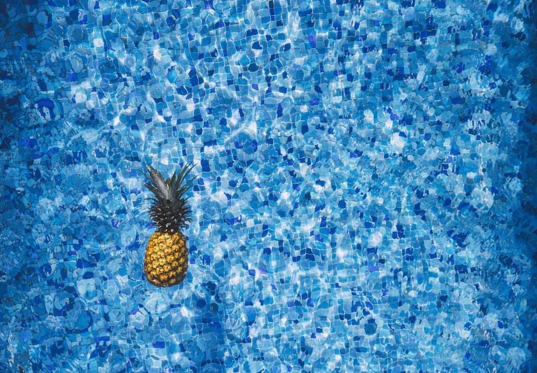 'Pool'입니다.