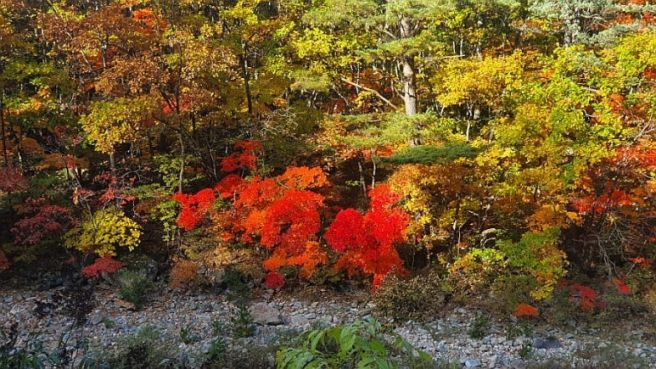 백담사계곡에서 영시암 가는길 단품