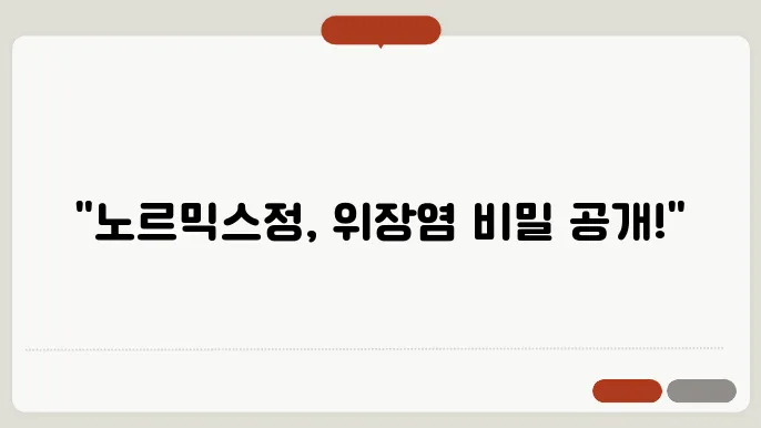 노르믹스정 처방 기록
