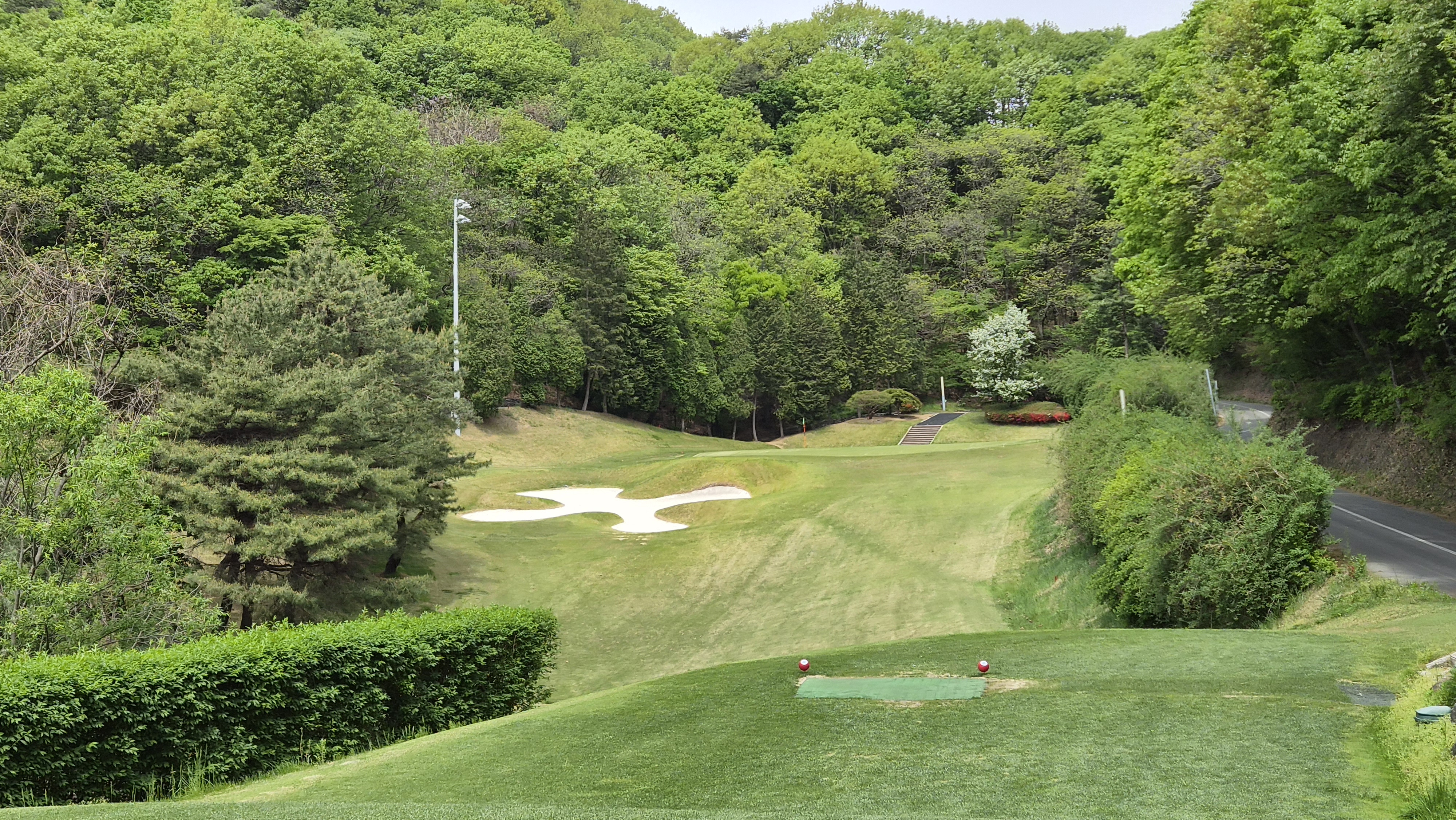 포웰cc 프린세스 코스 사진 및 공략 정보