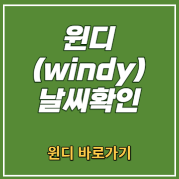 윈디 날씨확인
