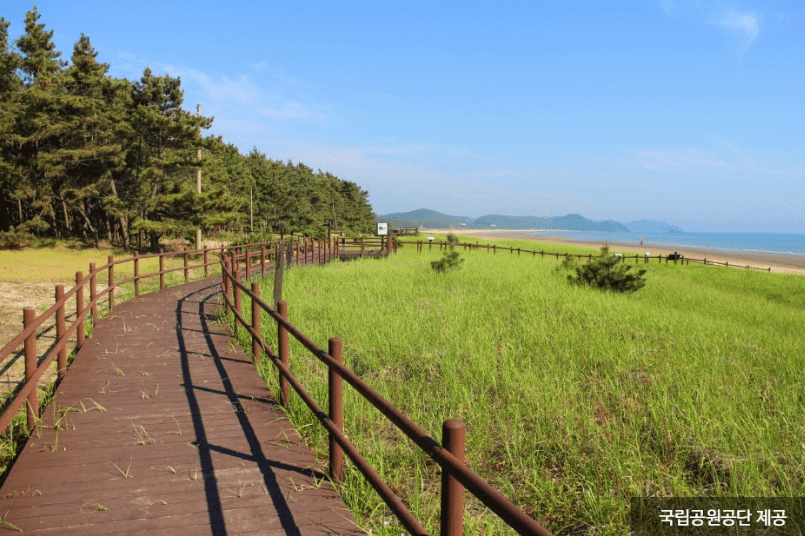 기지포해수욕장 (태안군)