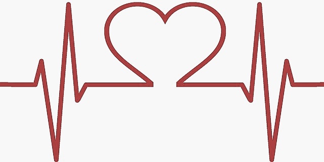 2024년 건강검진 대상자 조회