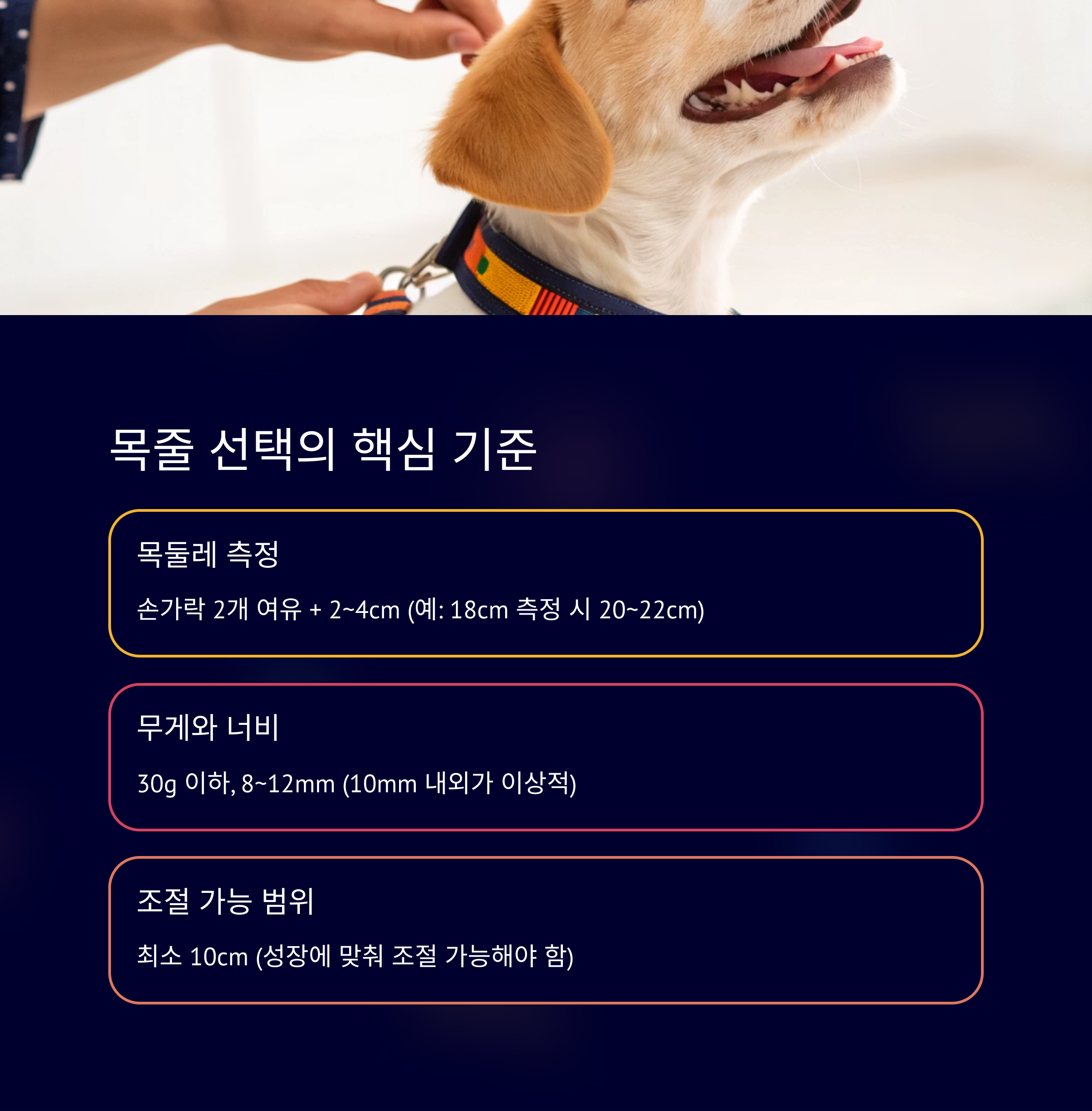 목줄 선택의 핵심 기준