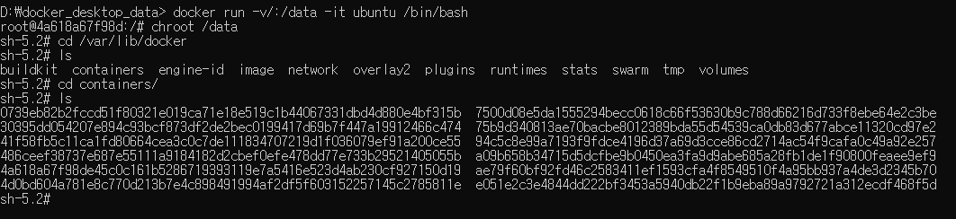 도커 데이터 진입