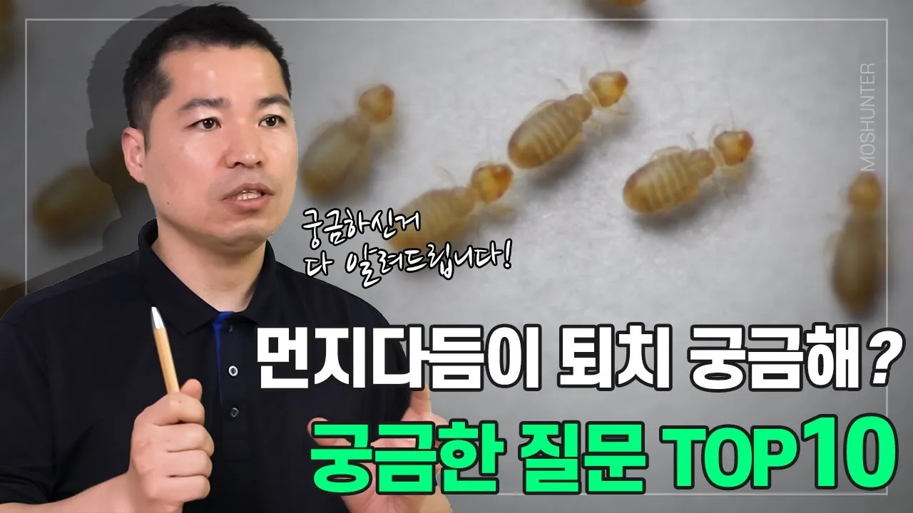 텃밭 해충 대처 진딧물 총채벌레 응애 노린재 방제_4