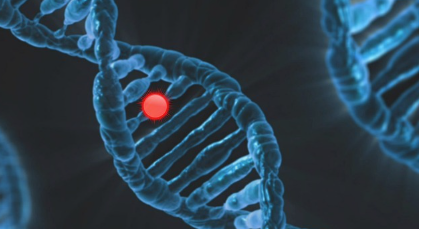 희귀 동물의 유전자 분석을 통한 보존 과학과 복원 가능성