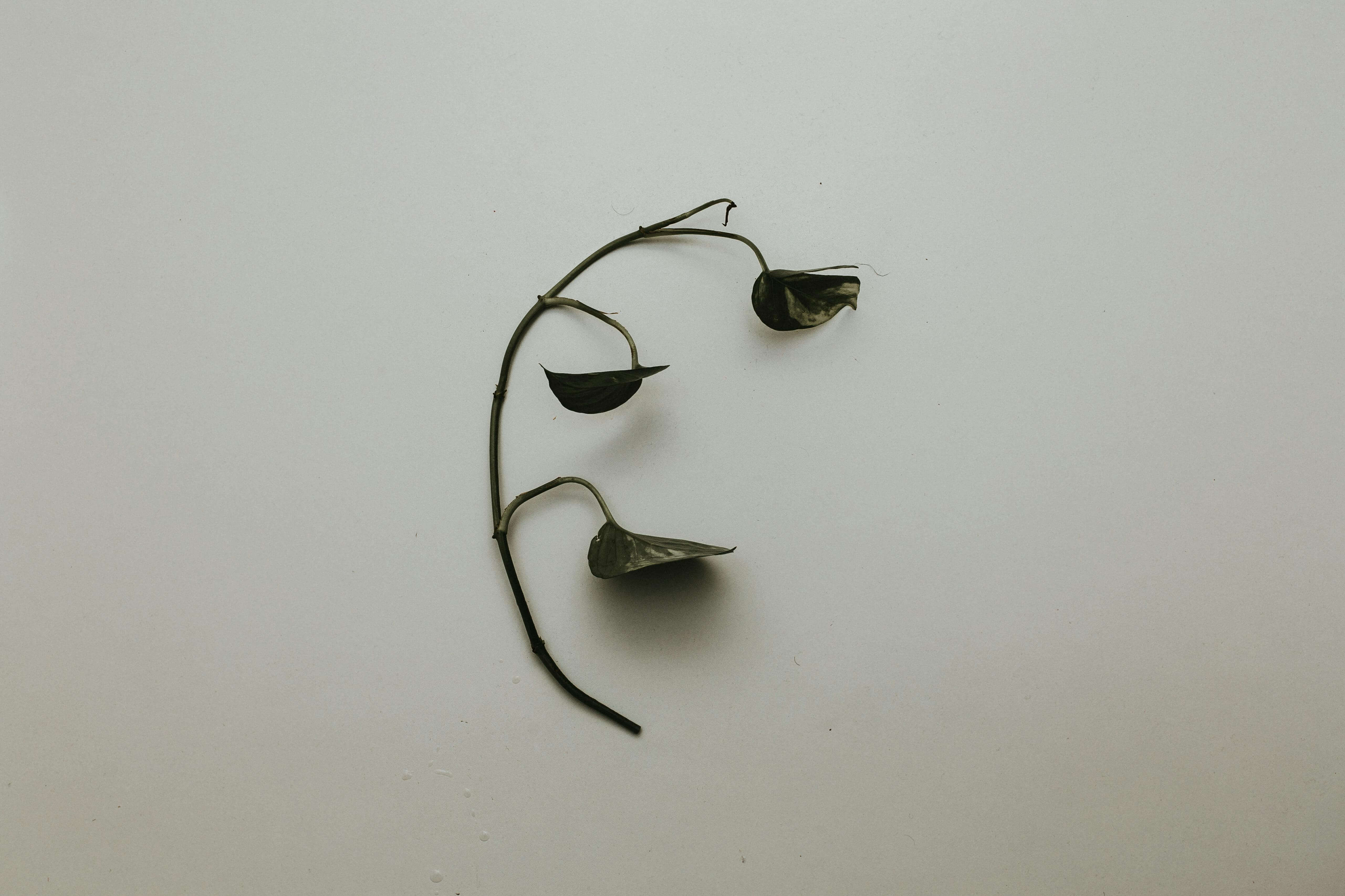 디지털 마케팅 국비 과정 실제 취업 사례