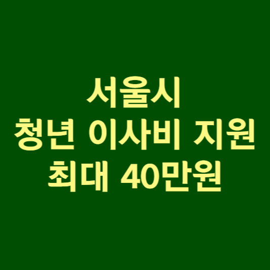 청년 이사비 지원