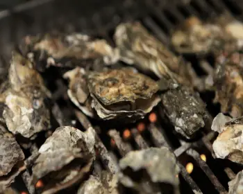 천북 굴 단지, 굴 축제_5