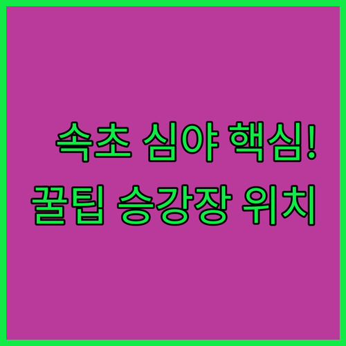 속초 중앙시장 심야 택시 잡는 특급 ..