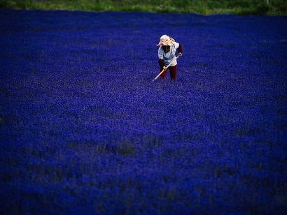 농지연금 가입조건 가입절차 및 제출서류