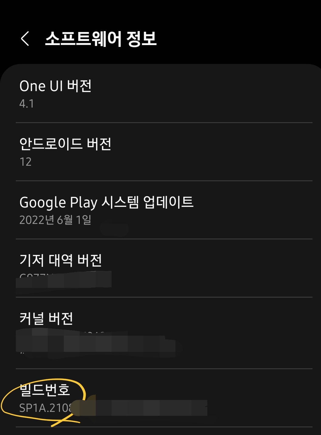 갤럭시S10 5G 설정- 휴대전화 정보-소프트웨어정보-빌드번호 여러번 터치하여 개발자 옵션 활성화