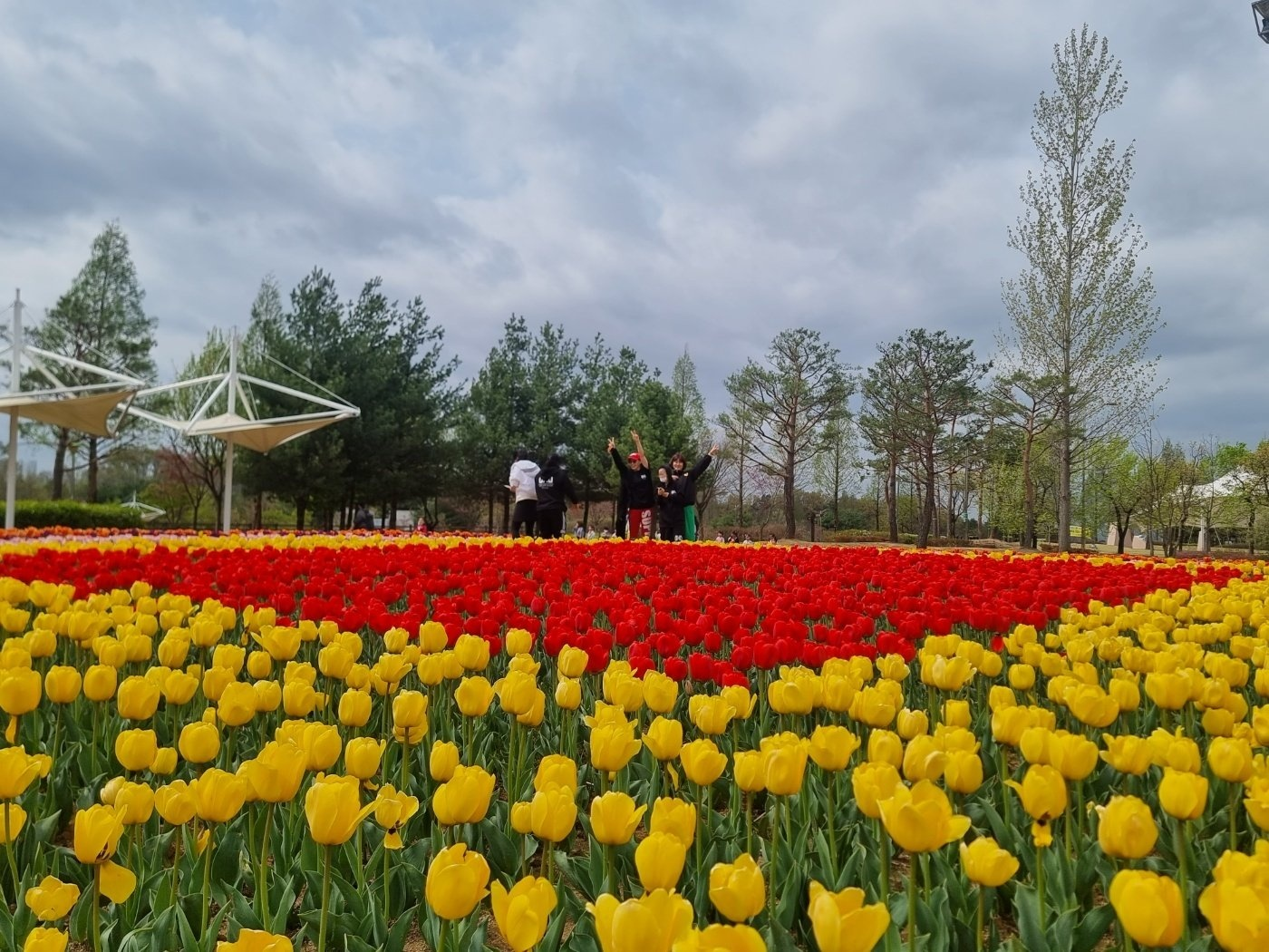청주 튤립(문암생태공원)