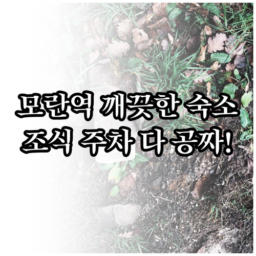 성남 모란역 근처 깨끗한 호텔 추천 ..