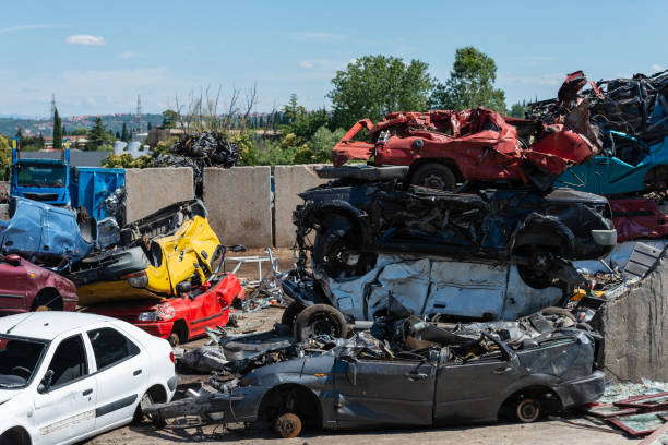 추가 보조금을 받을 수 있는 차량