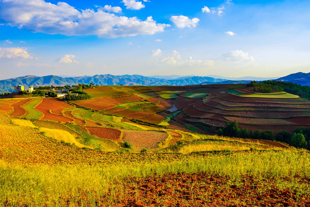 농지 임대차 계약서 작성 시 유의사항