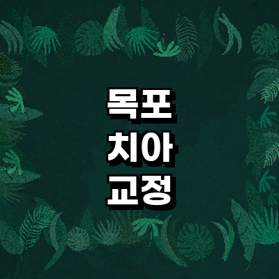 목포시 교정 치과