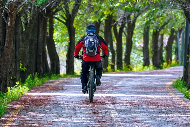 경기도 1박 2일 여행지 추천 베스트 5곳 총정리 완벽 코스_4