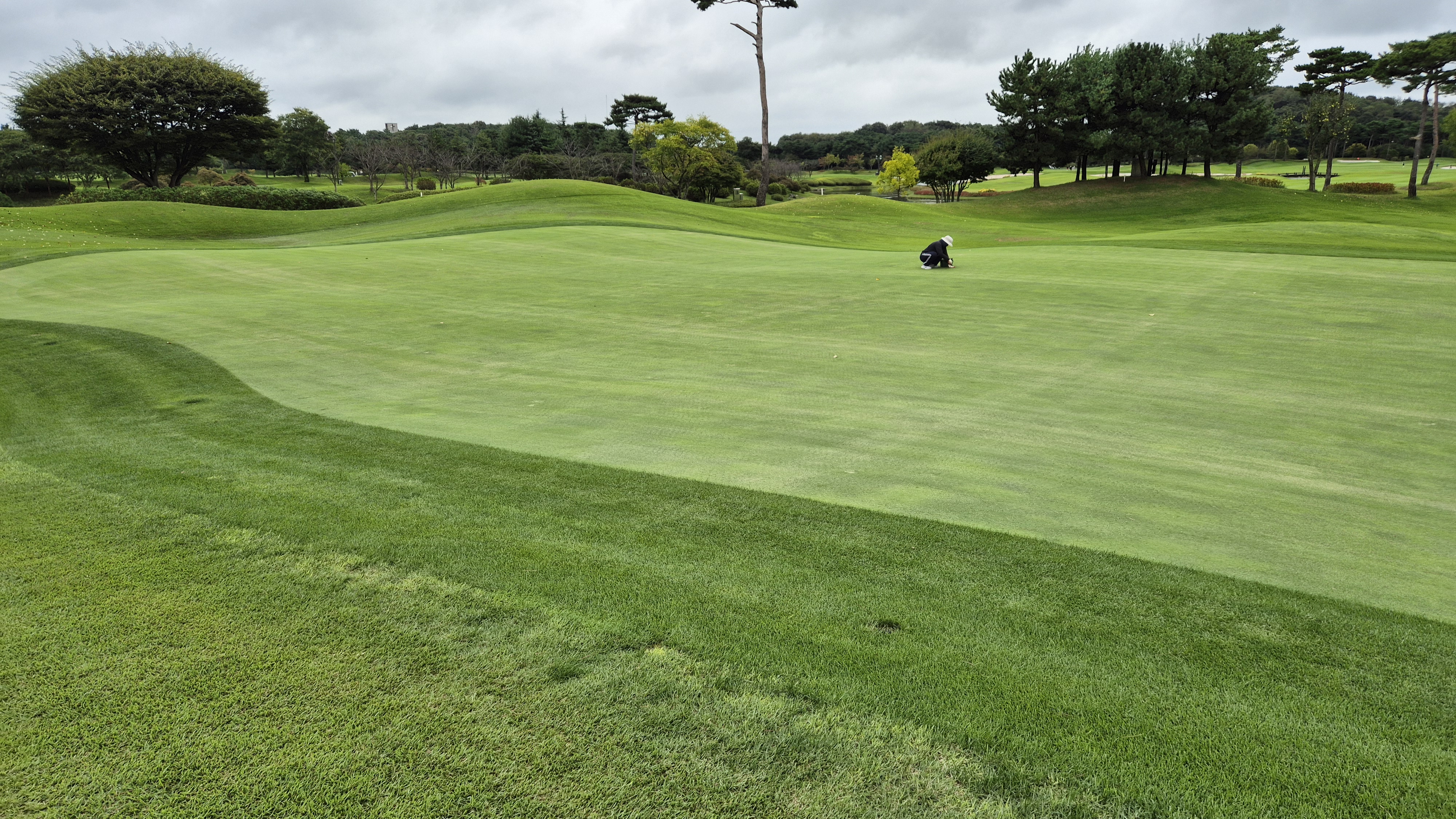 파인스톤cc 그린 빠르기 및 난이도