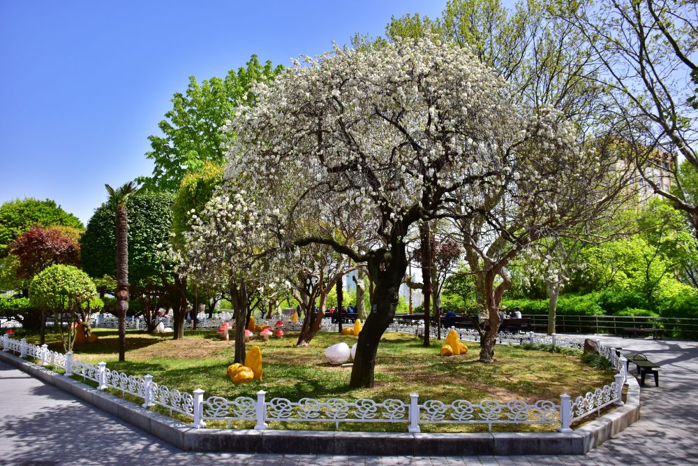 용두산 공원