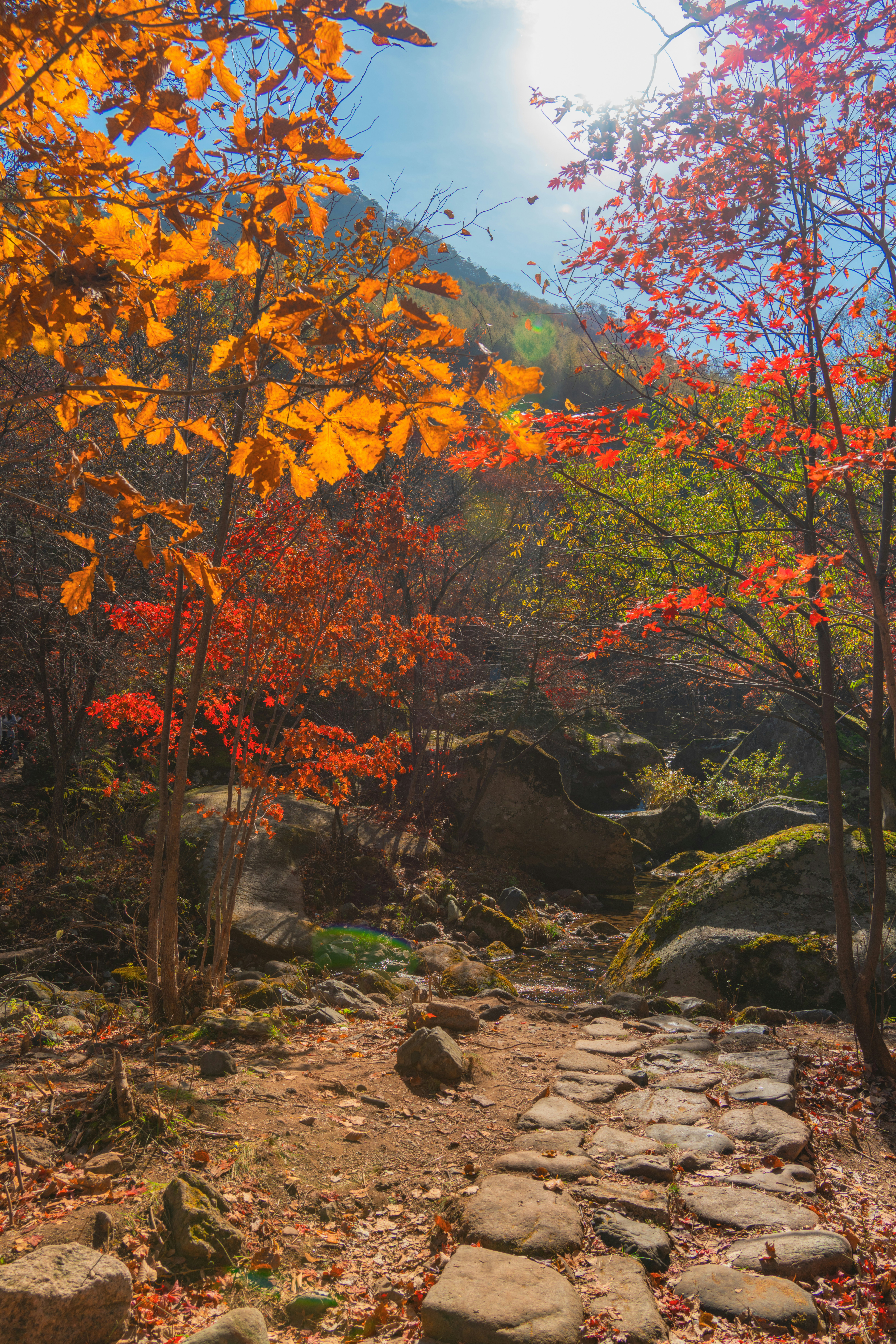 2025 -양산 -내원사- 단풍 -명소 -완벽 -가이드- 절정시기-&middot;무료입장&middot;계곡산책-6