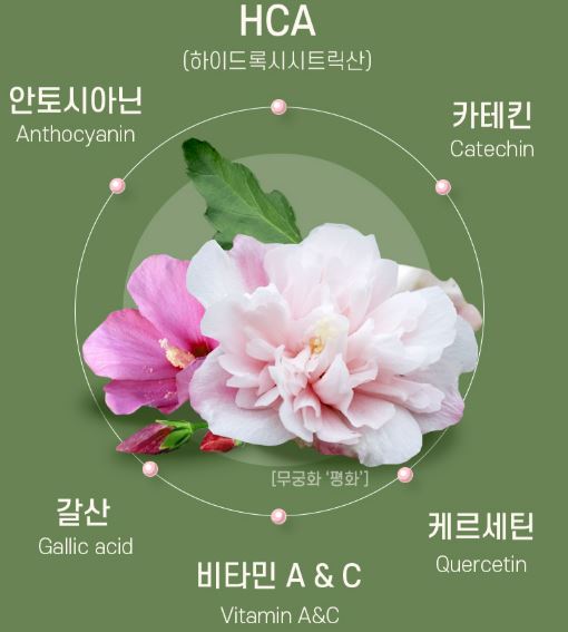 무궁화다이어트 무궁핏