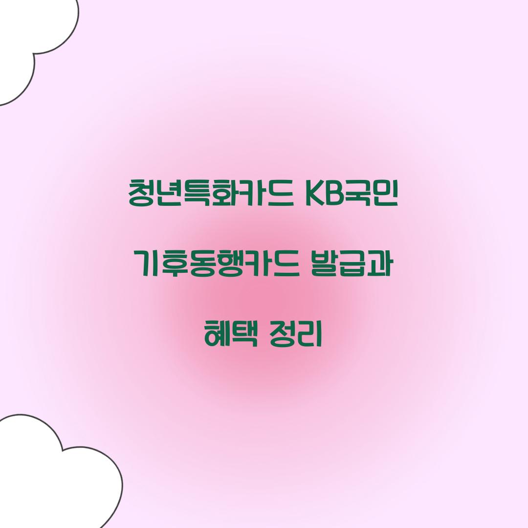 청년특화카드 KB국민 기후동행카드