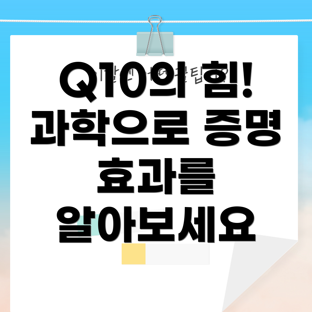 코엔자임 Q10
