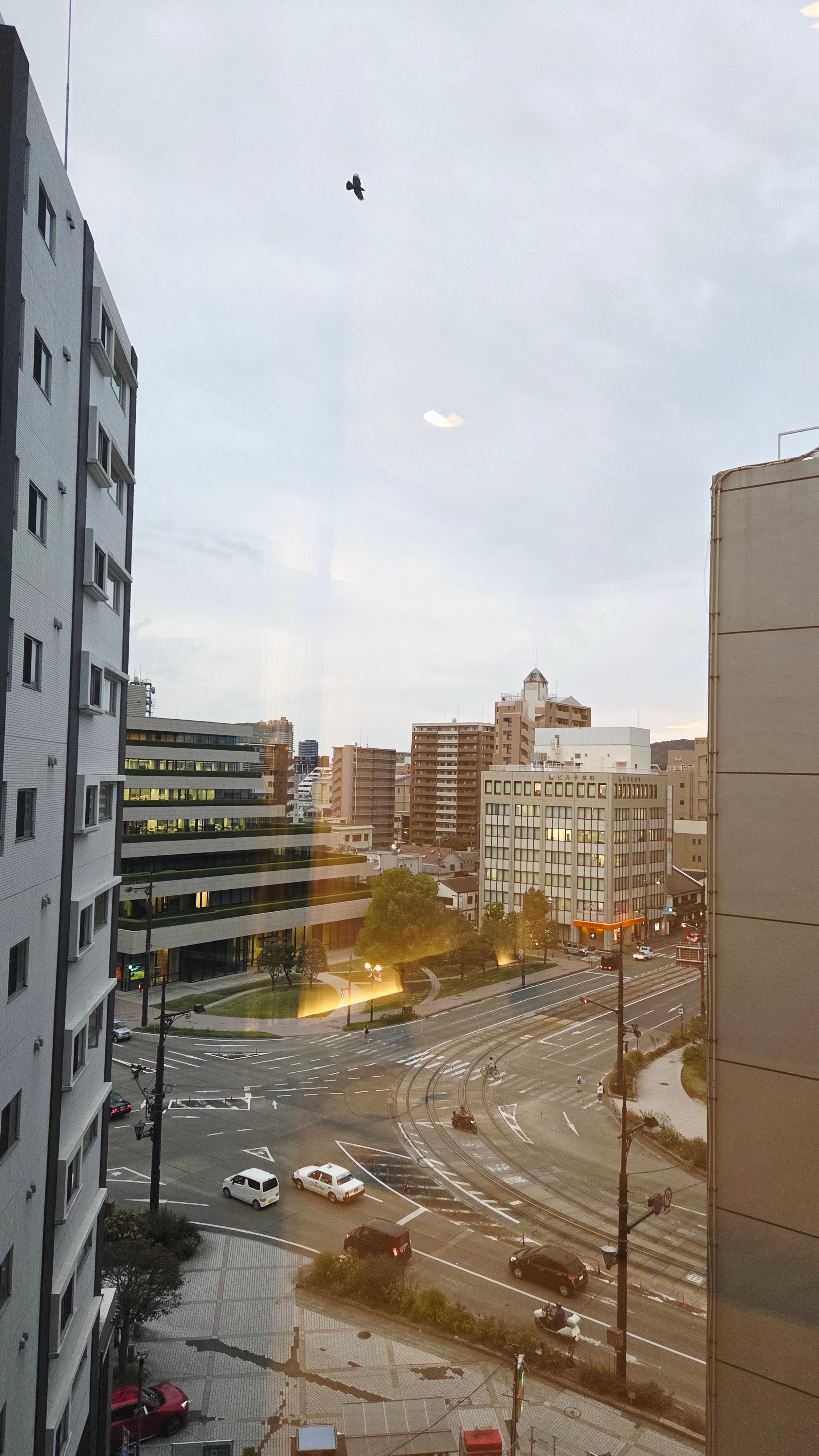 REF 숙소 창 밖 아침 풍경