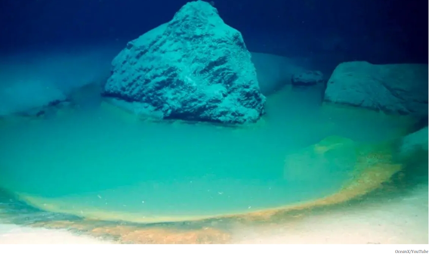 "이 심해&nbsp;웅덩이로 들어가면 모두 죽는다" VIDEO: Newly discovered deadly pools beneath the ocean kill anything that swims into them