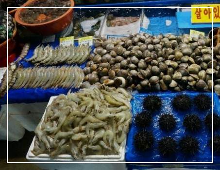 노량진수산시장 해산물