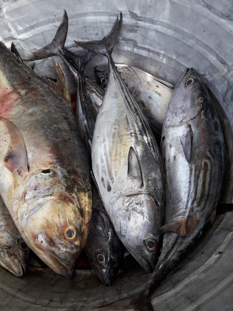 장마철 보양식 민어탕