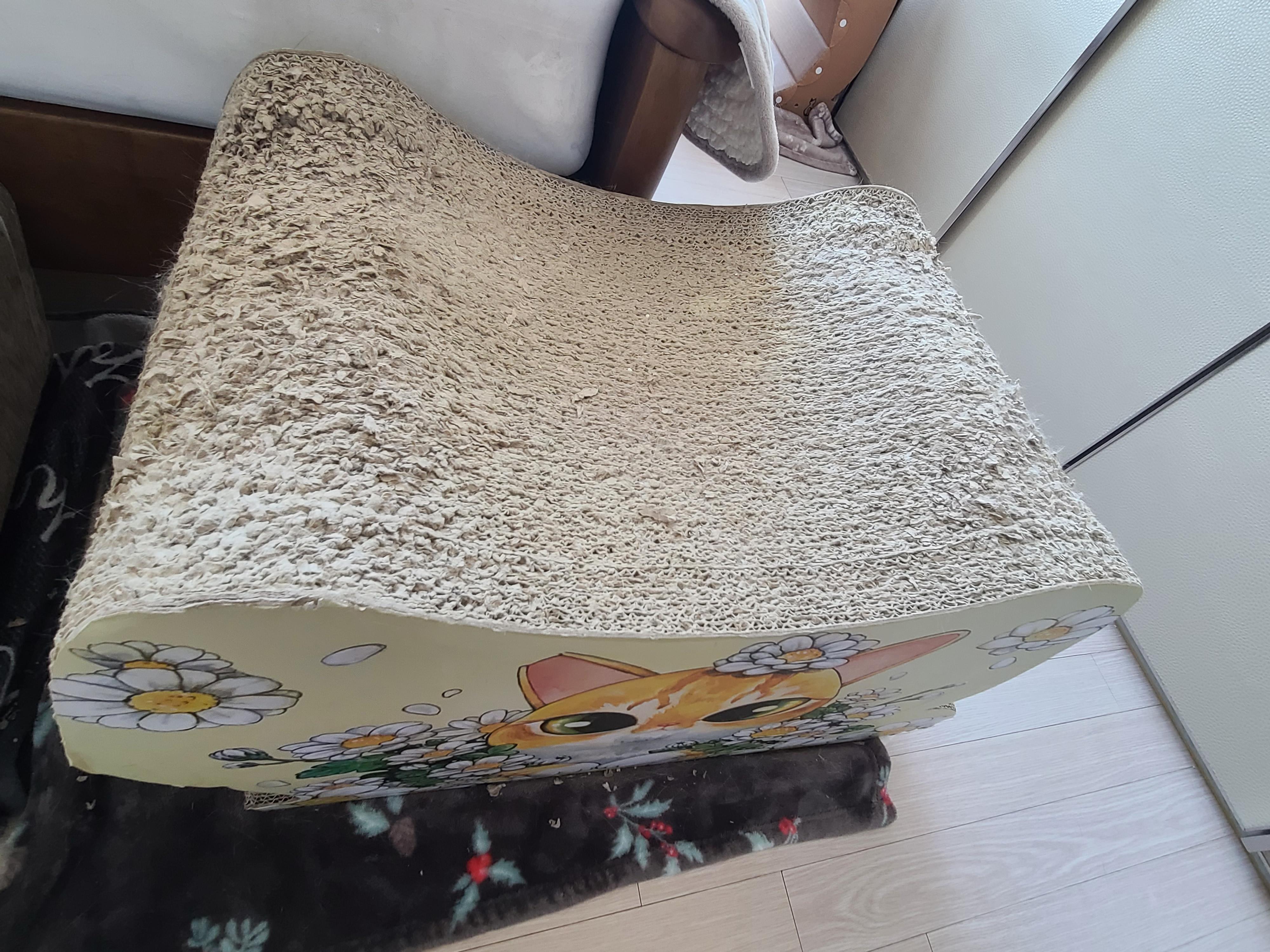 고양이들의 차차스크래쳐를 교체했다.