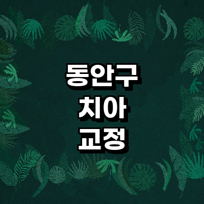 안양 동안구 교정 치과