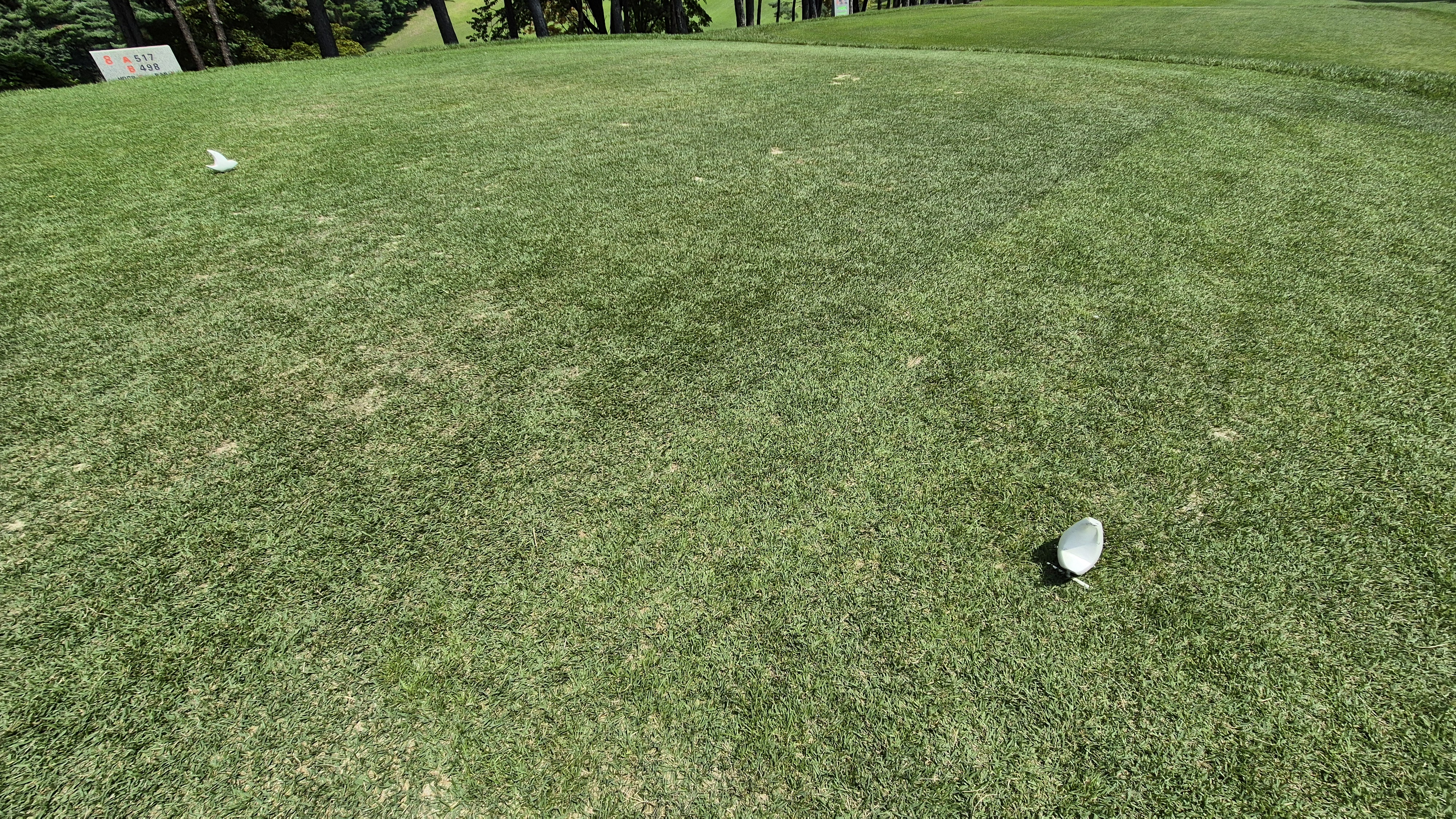 한성cc 오렌지-그린 코스 라운드 후기