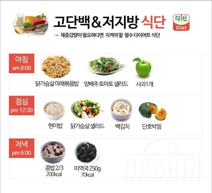 다이어트식단