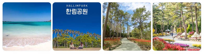제주 협재 해수욕장의 에메랄드빛 바다와 한림공원의 자연 산책로 및 꽃 정원