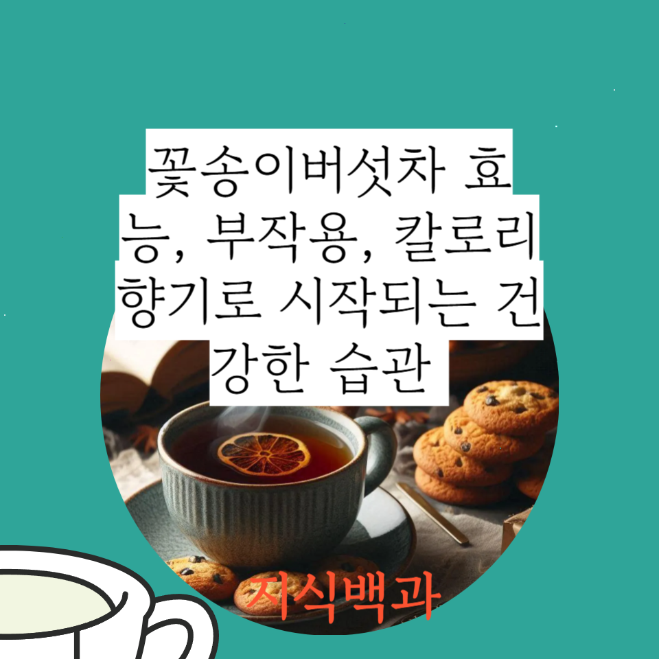 꽃송이버섯차 효능, 부작용, 칼로리 향기로 시작되는 건강한 습관