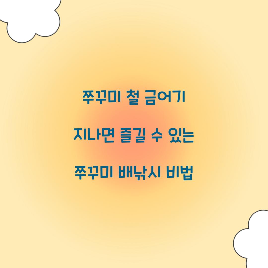 쭈꾸미 철 쭈꾸미 금어기