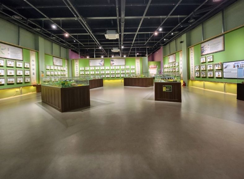 여주 곤충박물관