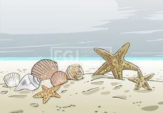 조개-불가사리-고동-일러스트