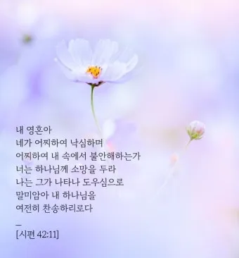 시편 119편 57-64절 말씀 강해 설교 (여호와는 나의 영원한 분깃)_5